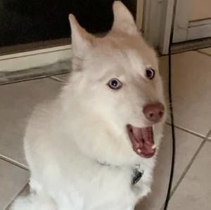 Meet your Posher, Danny